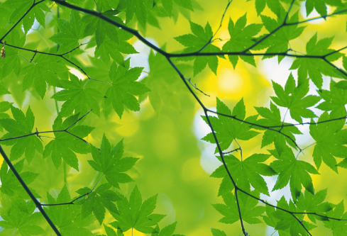 1694077789236244.png image.png