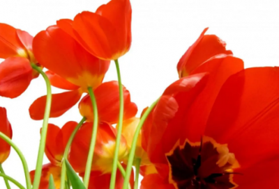 ​思念爱人的诗句 思念爱人的诗句经典古诗(精选36句)