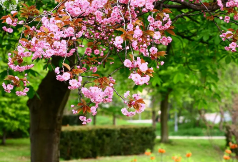 1694080470794151.png image.png