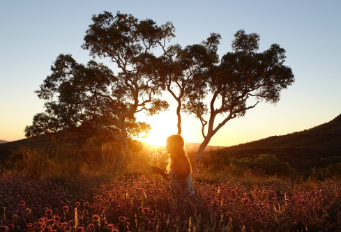 1697134172490562.png image.png