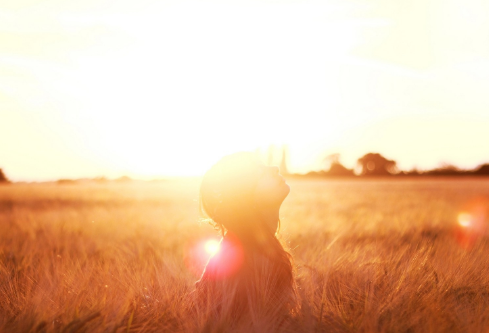 1697223171134340.png image.png