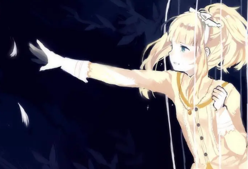 1697231189108762.png image.png