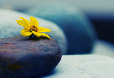 ​关于路的唯美句子(精选84句)