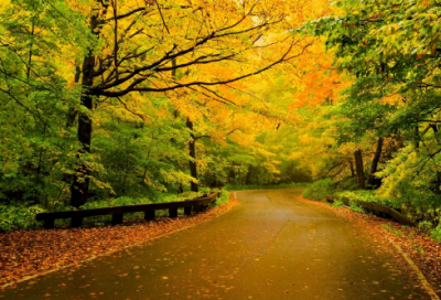 ​十年友情的句子 十年友情的句子唯美简短(精选68句)