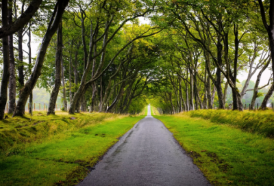 ​9月你好精彩唯美文案句子(精选91句)