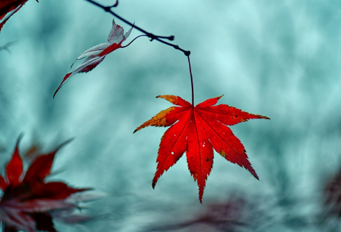 1706818814247174.png image.png