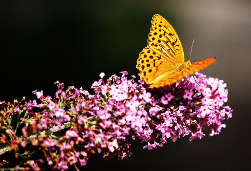 1706818980630028.png image.png