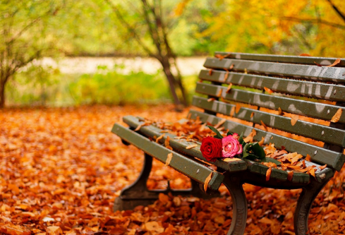 1706820141391417.png image.png