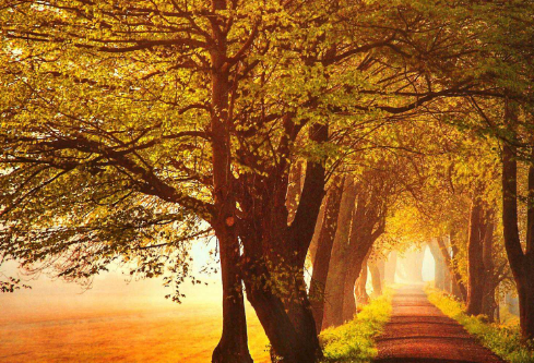 1706820473650726.png image.png