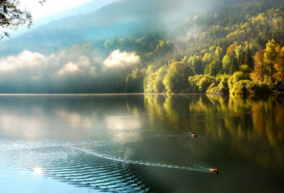 ​高三毕业留言唯美句子(精选78句)