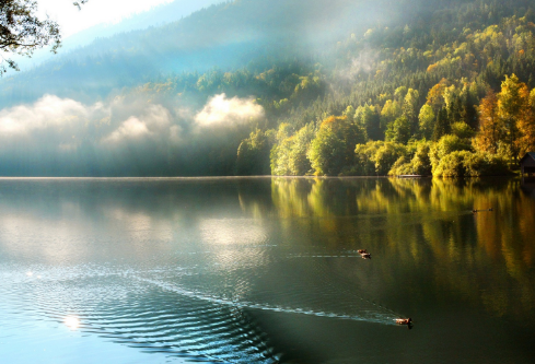 1706821137131629.png image.png