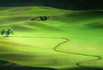 ​孩子成长寄语唯美句子简短 孩子成长寄语唯美句子幼儿园