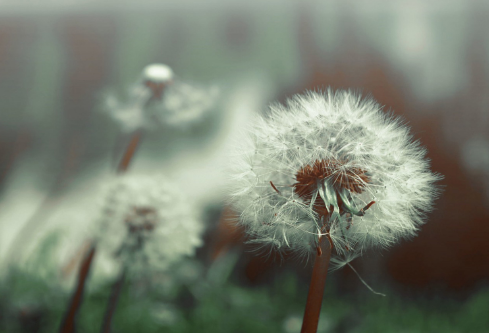 1706821635855127.png image.png