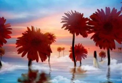 ​关于距离的唯美句子大全(精选68句)