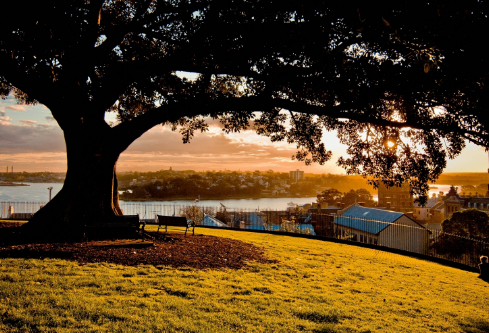 1706821967934607.png image.png