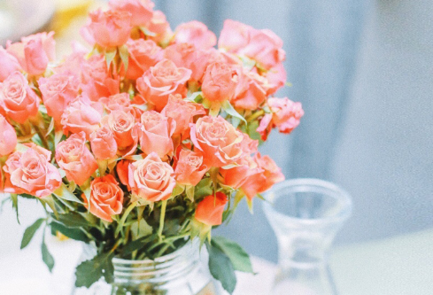 1706823295499685.png image.png