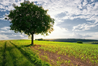 ​表白求爱的句子 关于表白的唯美句子(精选84句)