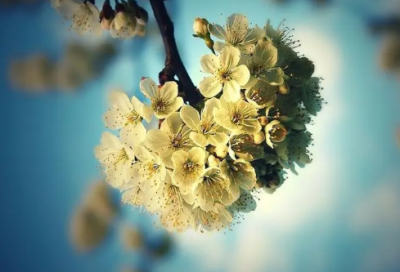 ​烟花的唯美的句子(精选63句)