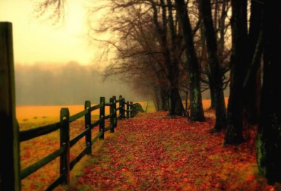 ​孩子成长寄语唯美句子简短 宝宝成长寄语唯美句子简短