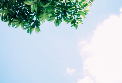 ​描写孤独的唯美句子 描写孤独老人的唯美句子