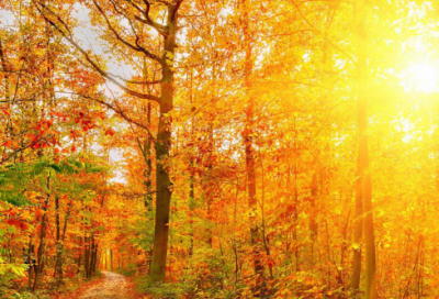 ​形容雨夜的句子 形容雨夜的唯美句子(精选61句)