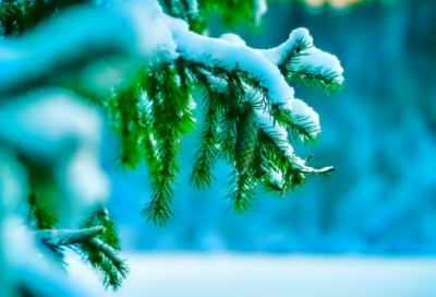 ​诗和远方的唯美句子 向往远方的句子(精选68句)