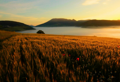 ​形容婚礼的唯美句子(精选64句)