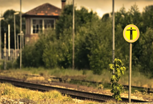 1706831263104554.png image.png