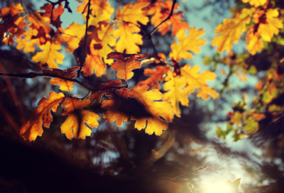 ​秋雨绵绵的唯美句子(精选65句)