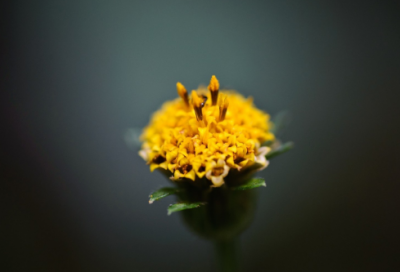 ​关于希望的唯美句子 描写希望的句子(精选78句)