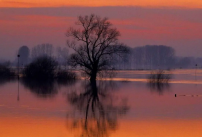 ​关于流年的唯美句子大全 有关流年的伤感唯美句子