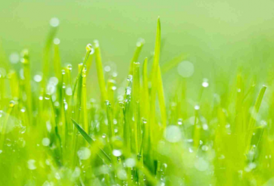 ​描写微笑的唯美句子(精选61句)