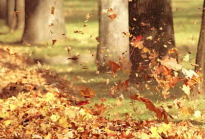 ​微笑的唯美短句 微笑的文案句子(精选66句)