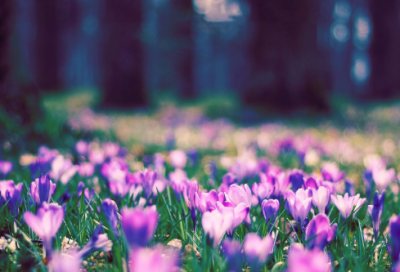 ​关于红尘的唯美句子大全 红尘路上我等你的唯美句子