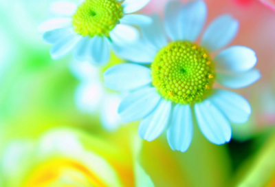 ​感谢好朋友的唯美句子 感谢好朋友的暖心唯美句子