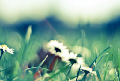 ​六一儿童节的唯美经典句子推荐(精选49句)