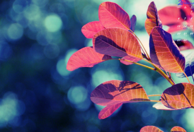 ​关于红尘的唯美句子大全 描写红尘的唯美句子