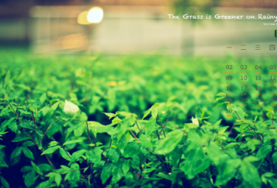 ​描写秋雨的唯美句子 秋雨绵绵的唯美句子(精选92句)