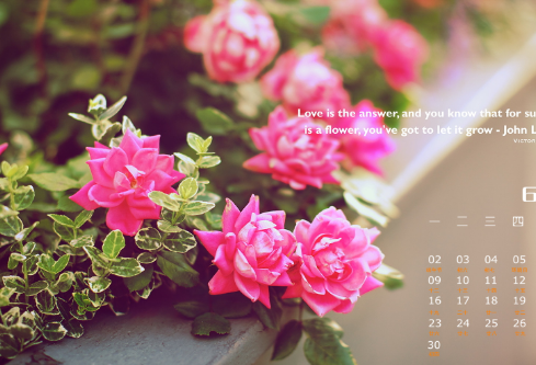 1706837072770871.png image.png