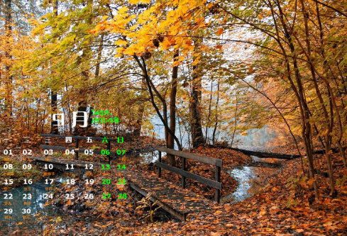 1706838898676717.png image.png