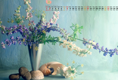 ​期待未来的唯美句子 感恩过去期待未来的唯美句子