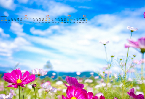 1706840889106611.png image.png