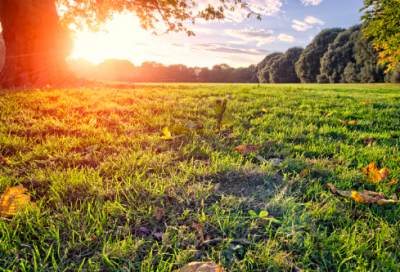 ​为梦想拼搏的唯美句子 追逐梦想的激励句子