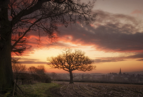 1706843876962190.png image.png