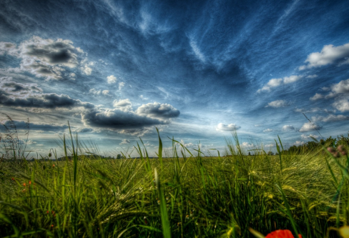 1706844540743460.png image.png