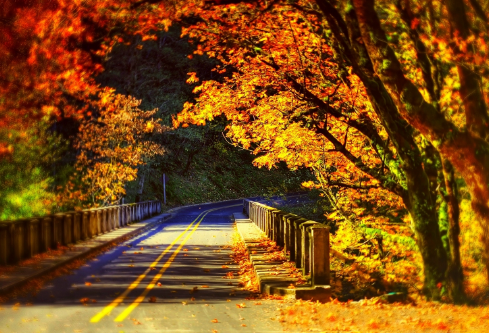 1706844706577916.png image.png