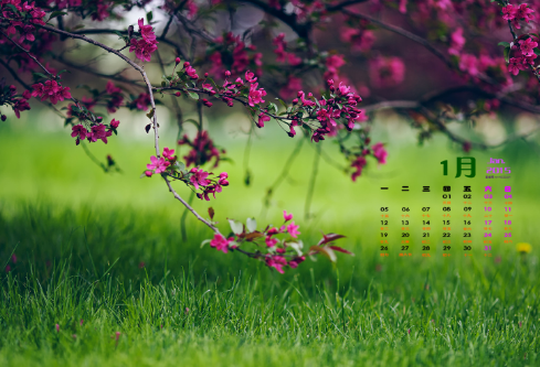 1706854998782489.png image.png