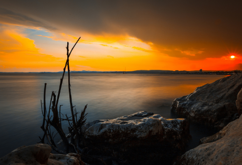 1706855994732659.png image.png