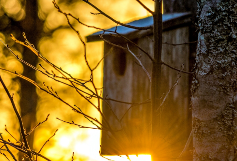 1706856326514358.png image.png