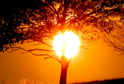 1706858319112123.png image.png